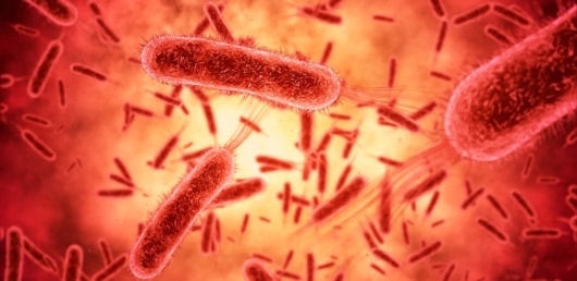 UTIs and antimicrobial resistance – An infographic and statistical review