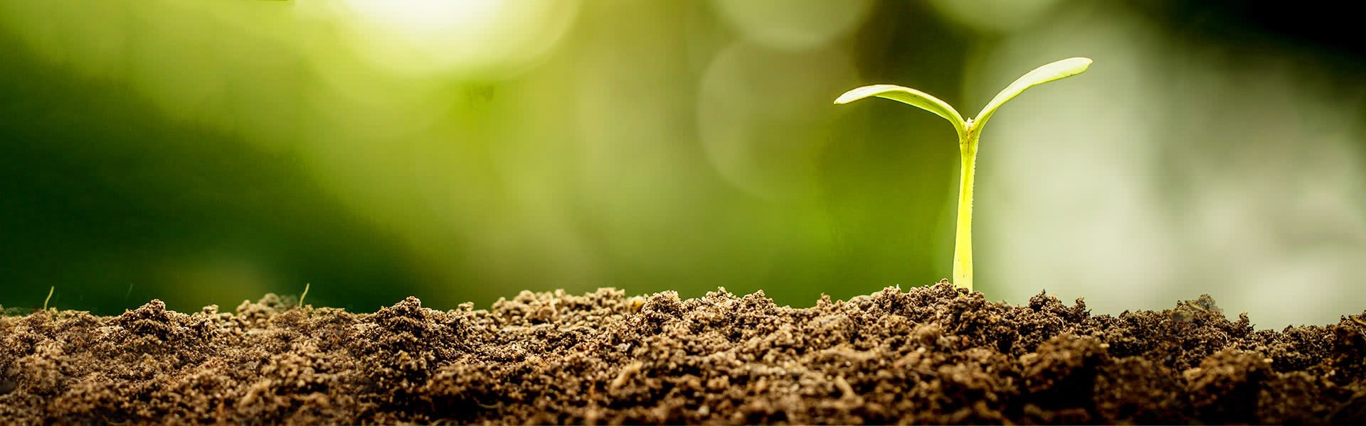 ingredients and research page banner
