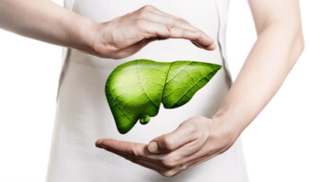 The liver – an unsung hero of the immune system
