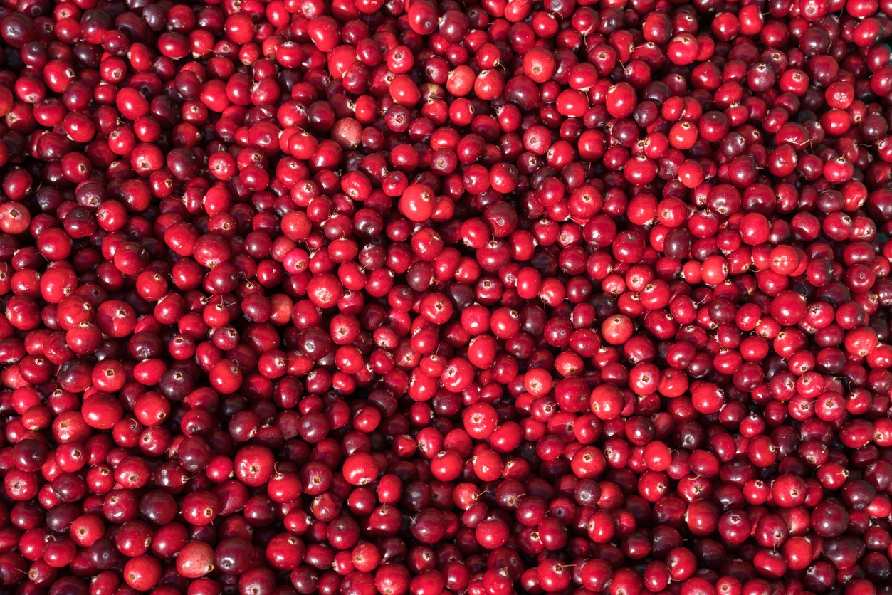 Cranberries