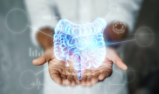 What is the gut-brain axis?