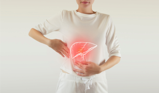 The role of the liver in hormonal balance for women
