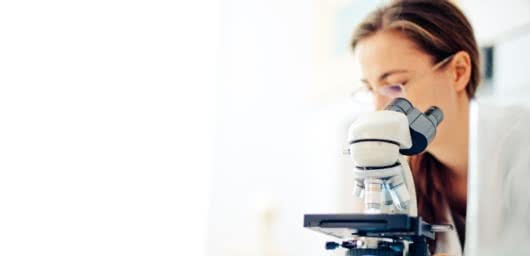 New mode of action discovered for St John’s wort extract Ze 117