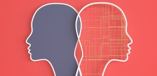 Stress, learning and memory – friends or foes?