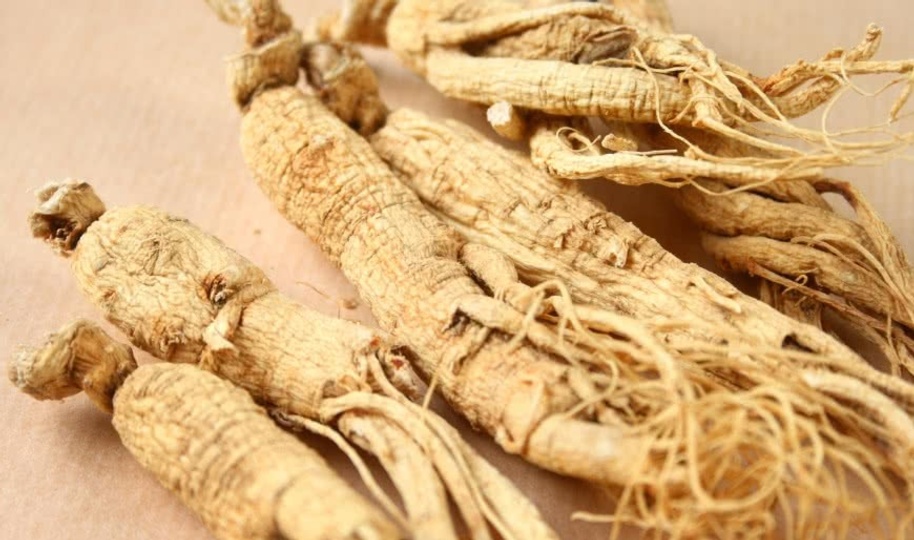 A history of ginseng