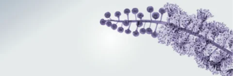 981F6E4E-C242-4015-B56A6B8A7D057D19_W914_H300