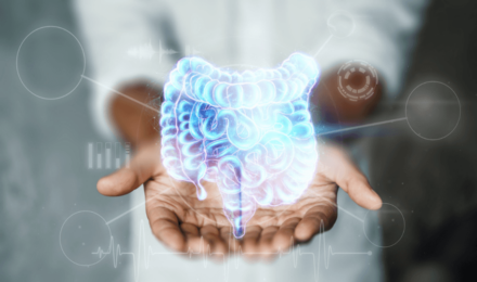 What is the gut-brain axis image