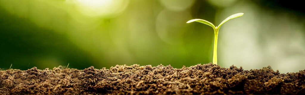 ingredients and research page banner