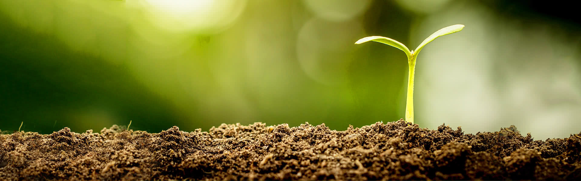 ingredients and research page banner