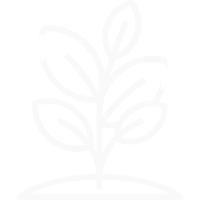 plant icon